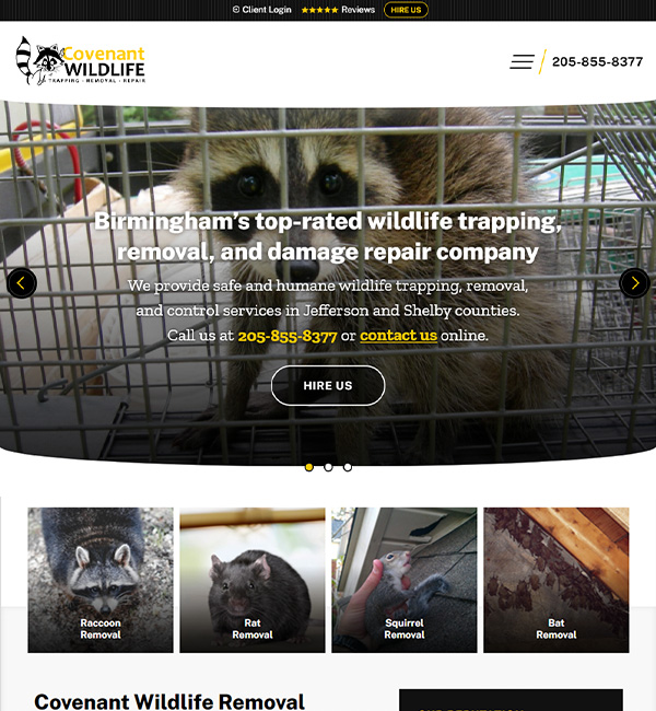 Birmingham Wildlife Control