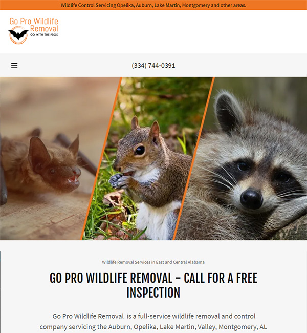 Montgomery Wildlife Control