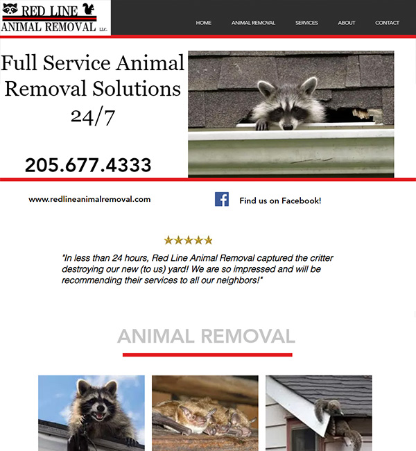 Birmingham Wildlife Control
