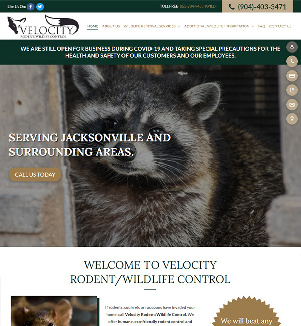 Birmingham Wildlife Control